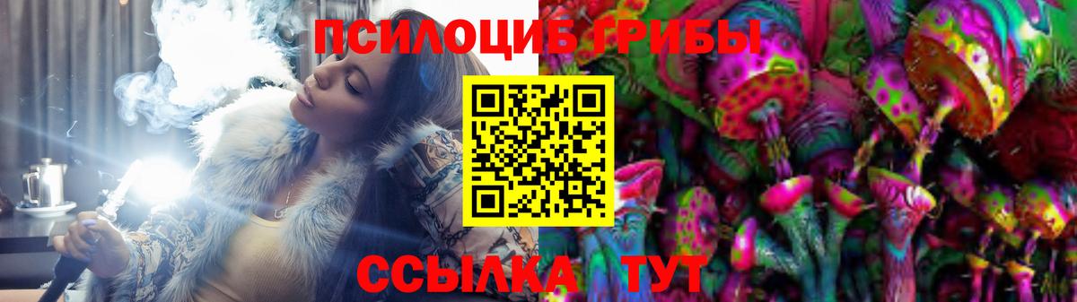 что такое   Галлюциногенные грибы Psilocybine cubensis  Вход с VPN  Карпинск  Псилоцибиновые грибы MAGIC MUSHROOMS 